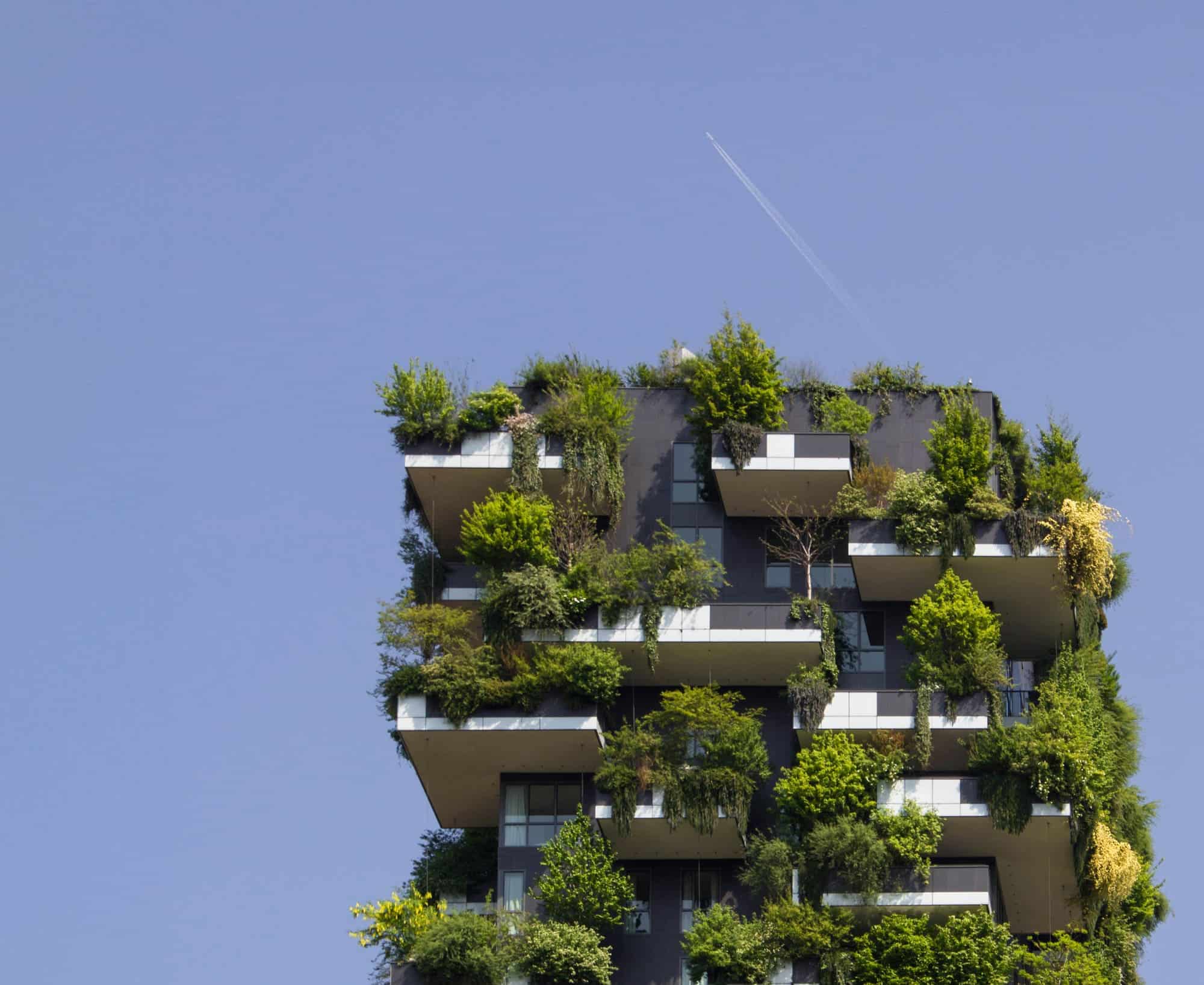 Photographie d'un immeuble végétalisé